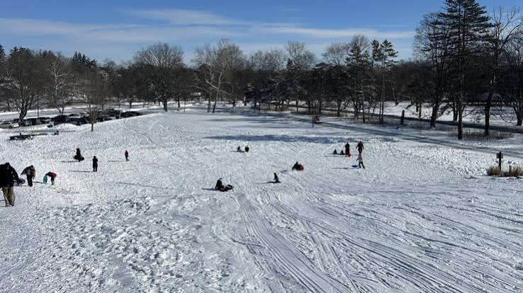 Side Cut Metropark